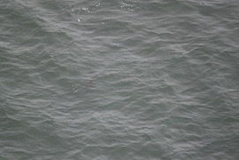 Missing Picture